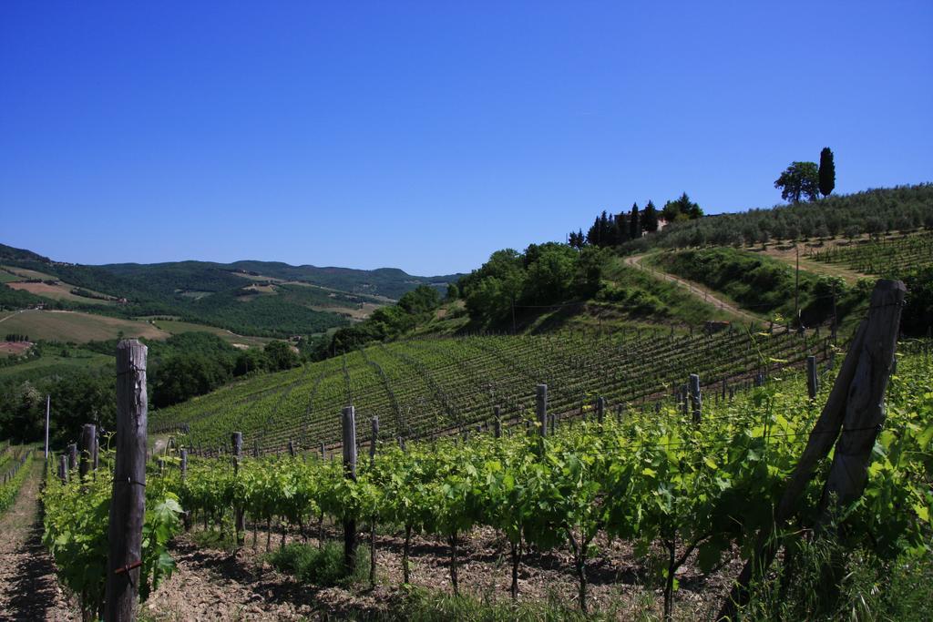 סן ג'ימיניאנו Il Borghetto Tuscan Holidays מראה חיצוני תמונה